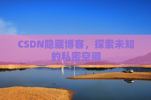 CSDN隐藏博客，探索未知的私密空间